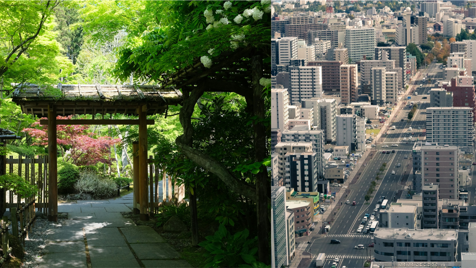 The Greenest City, Sendai - Blackbox JP